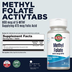 Illustration of the 5-MTHF active form of folate