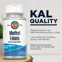 Prenatal folate support concept with pregnancy icon