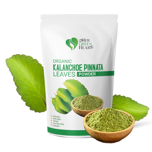 Kalanchoe Pinnata leaves powder in a resealable pouch