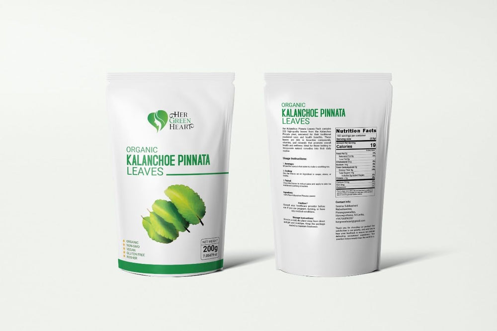 Fine green Kalanchoe Pinnata leaves powder ready to blend