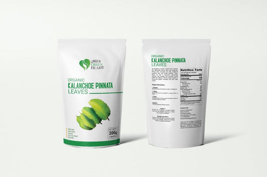 Fine green Kalanchoe Pinnata leaves powder ready to blend