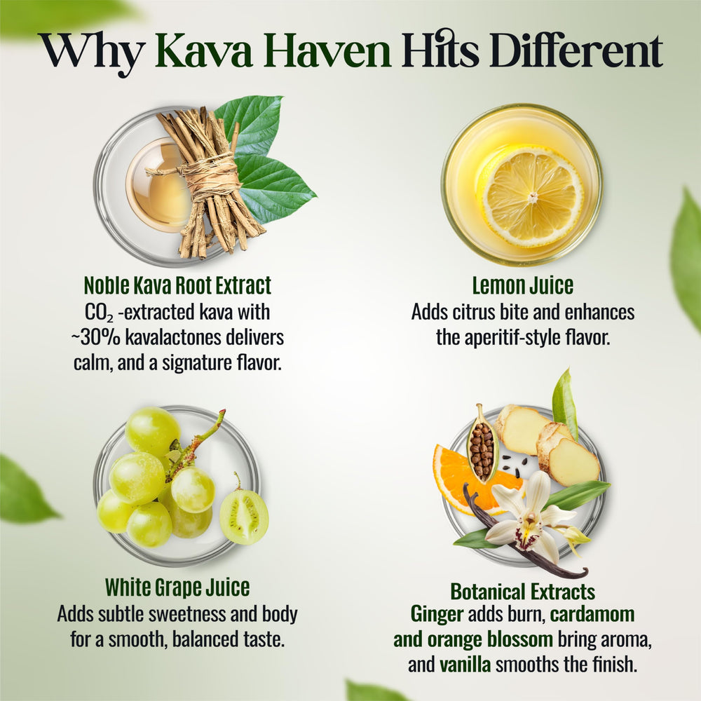 Kava Haven Non Alcoholic Spirit ginger vanilla aroma