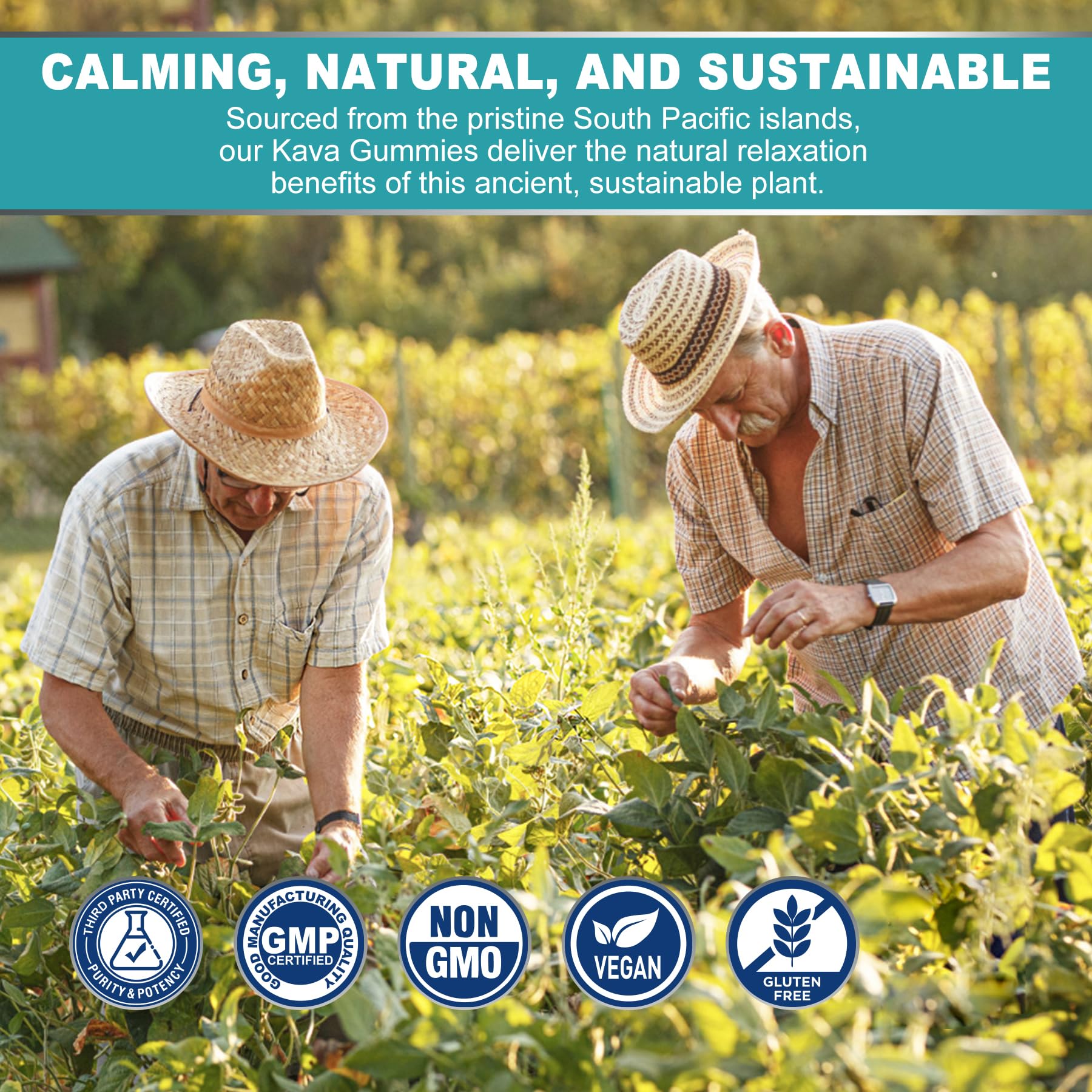 Lemon flavor indicator and gummy close-up