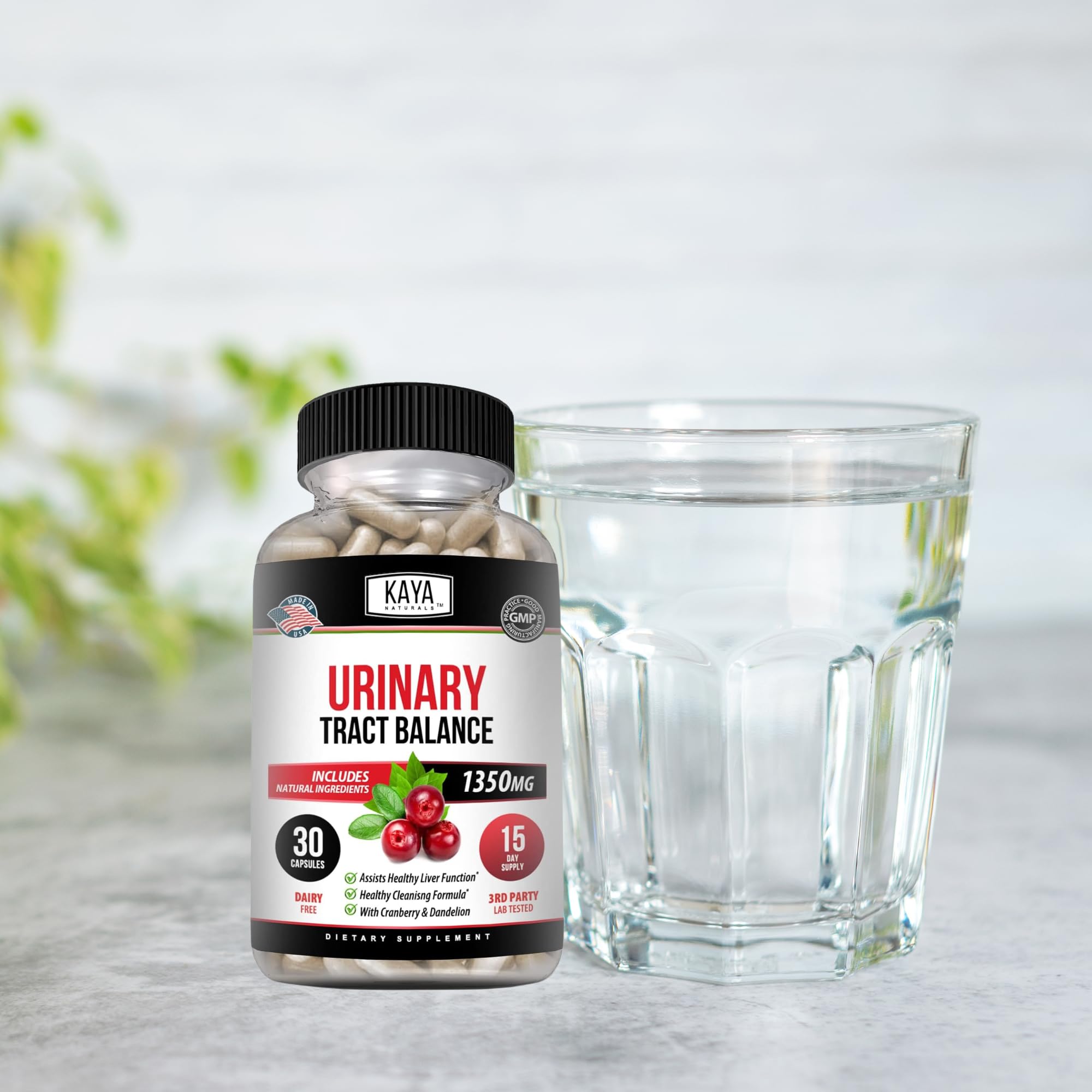 Bladder health concept image for Kaya Naturals D-Mannose