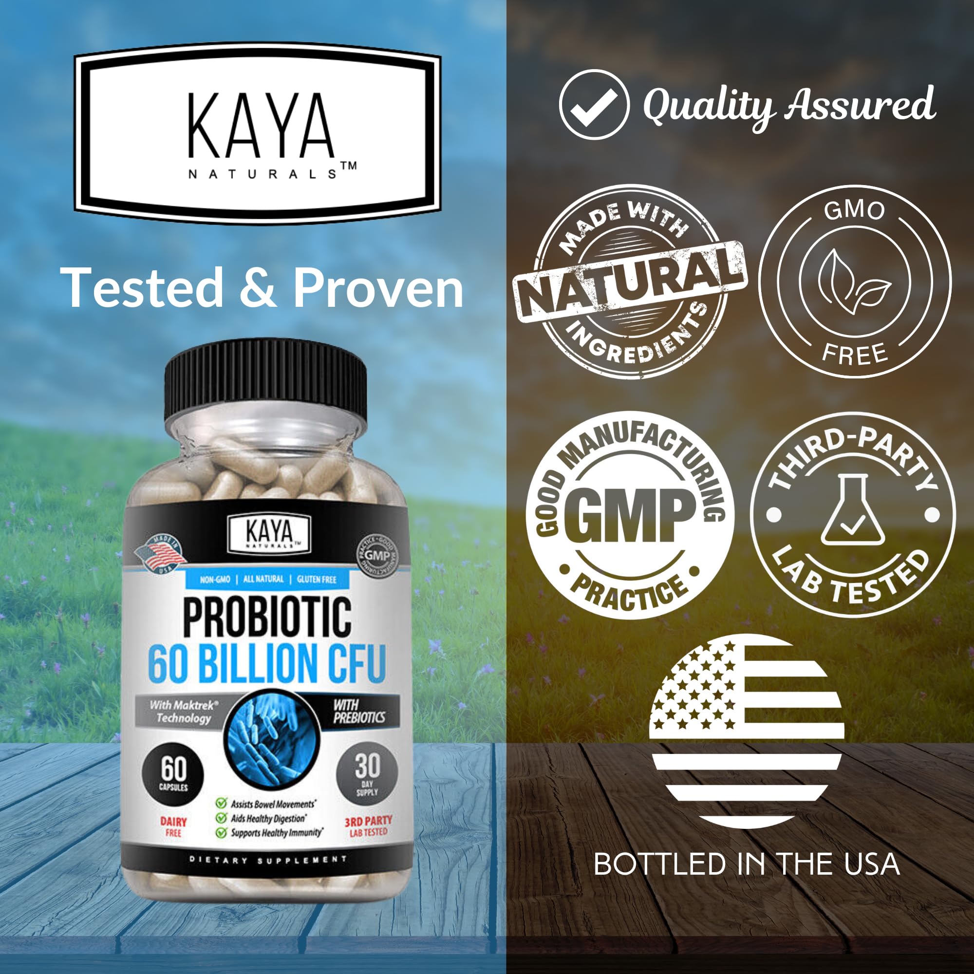 Illustration highlighting digestive health support from Kaya Naturals Probiotic