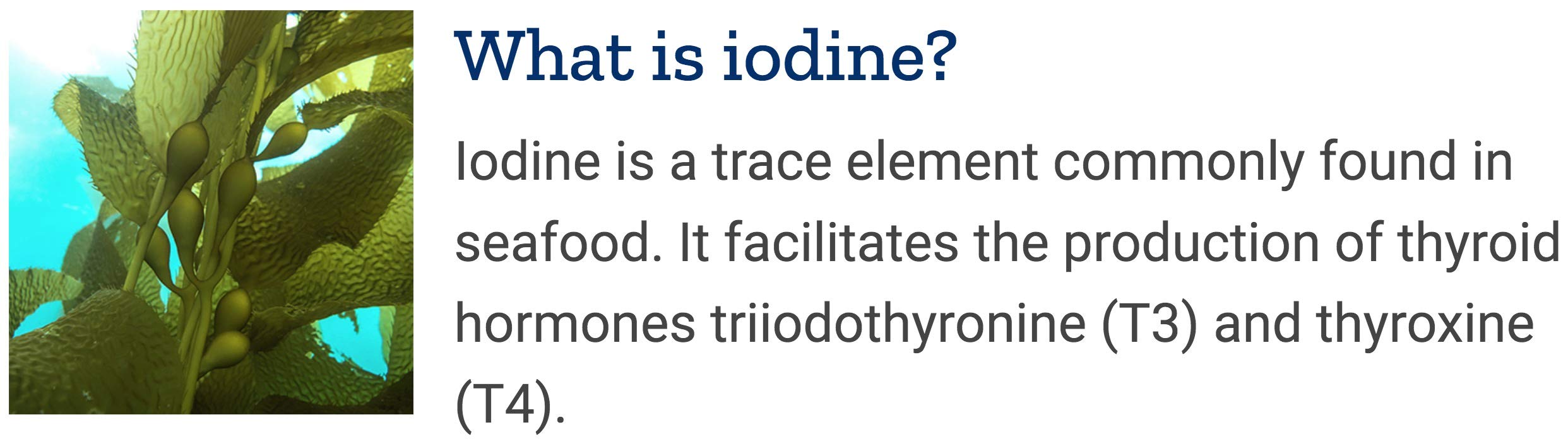 Kelp and bladderwack seaweed sources for iodine