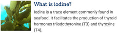 Kelp and bladderwack seaweed sources for iodine