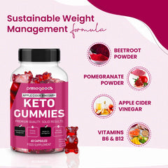 Illustration of digestion and energy benefits from Keto ACV Gummies