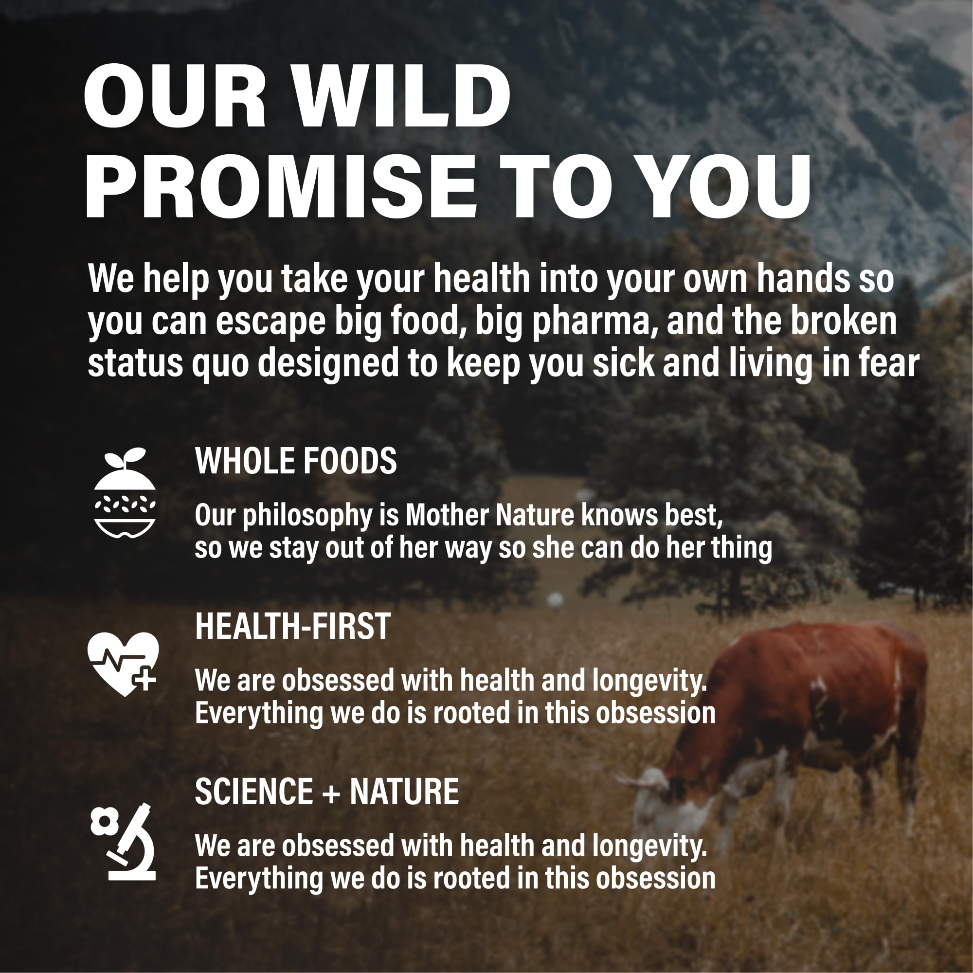 Keto Paleo Carnivore friendly beef liver capsules