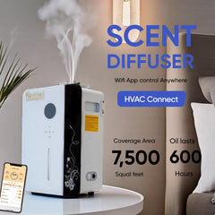 Kevinleo waterless cold-air diffuser dispersing essential oils through a fine nano mist.