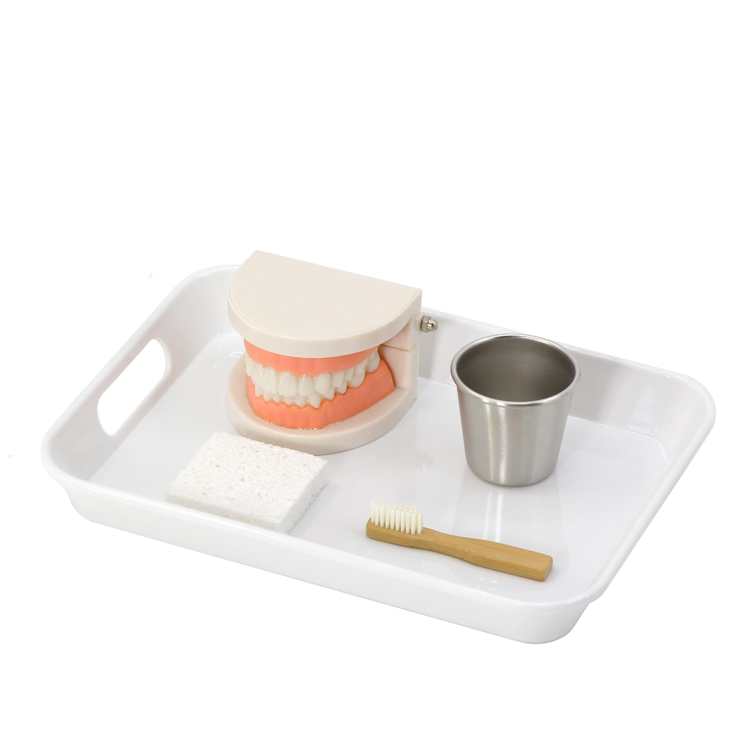 Kiddison Brushing Teeth Activity Set – Montessori Practical Life components with tray, cup, sponge, teeth model and bamboo toothbrush