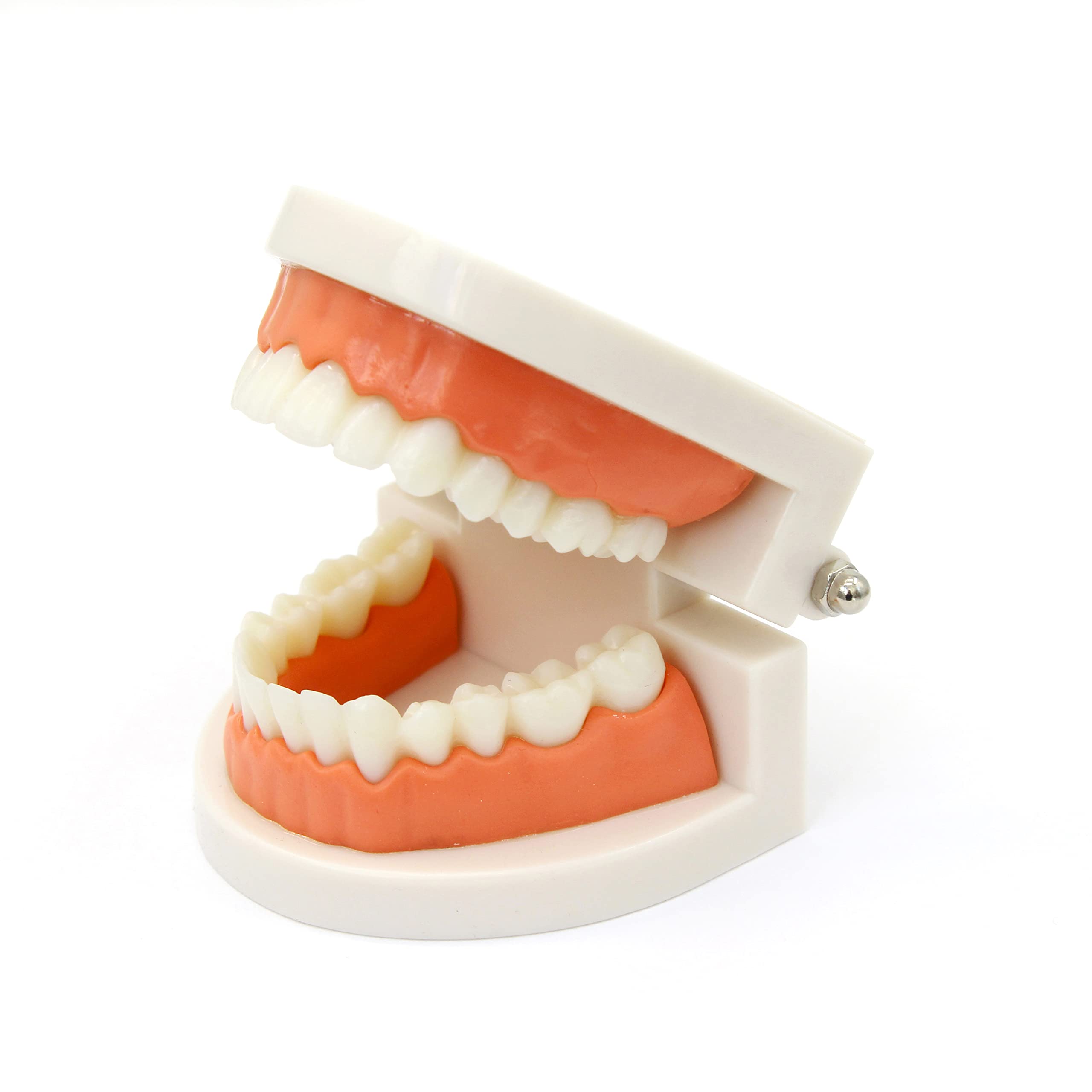 Complete Kiddison Brushing Teeth Activity Set laid out for children's practice