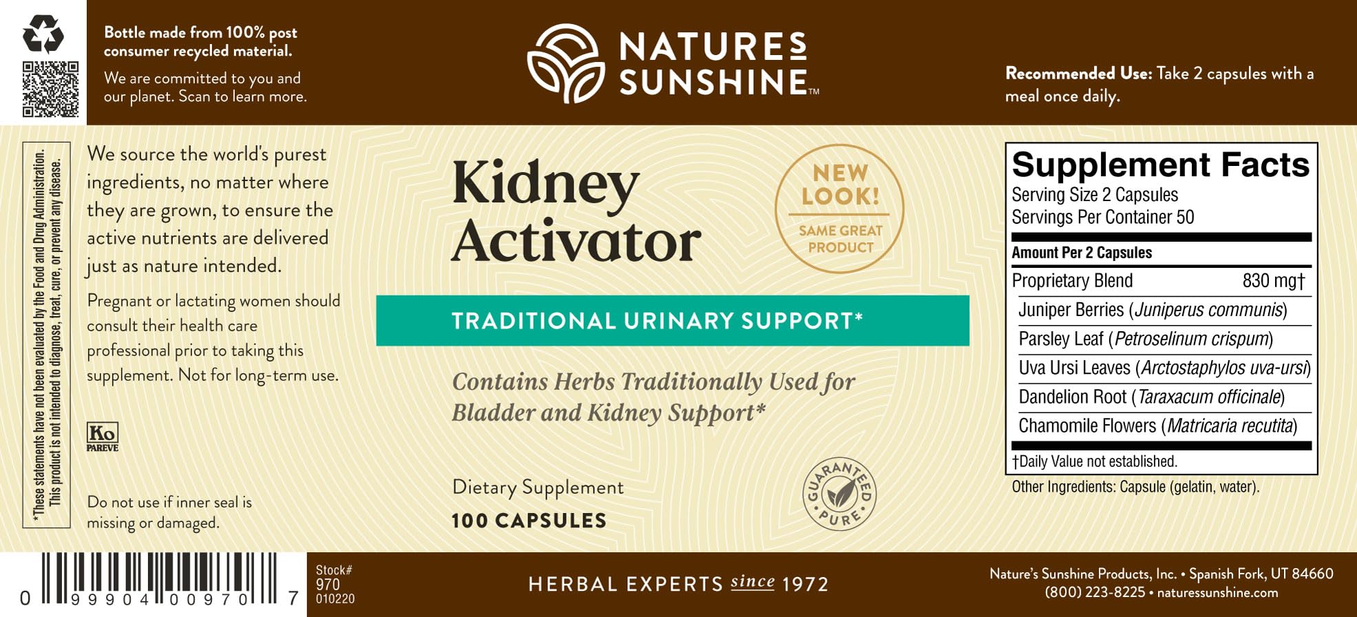 Lifestyle concept image of natural kidney health supplement