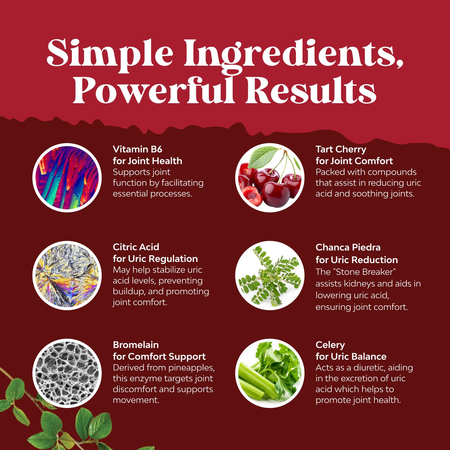 Kidney detox and urinary health support