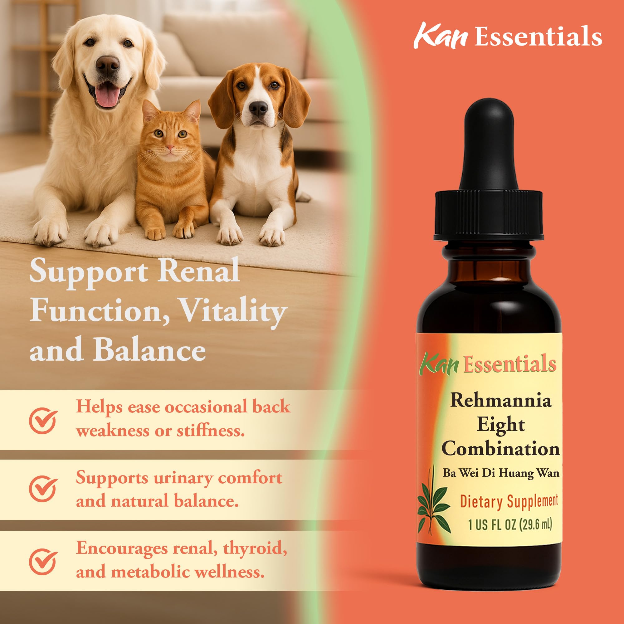 Dog and cat with renewed vitality after using Kan Herbs