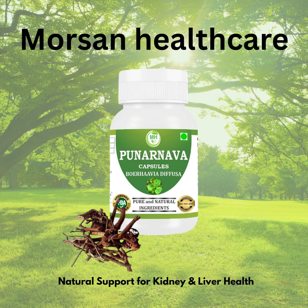 Kidney and liver wellness support illustration