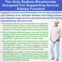 Kidney Restore energy and digestion scene hints at improved daily stamina and comfort.