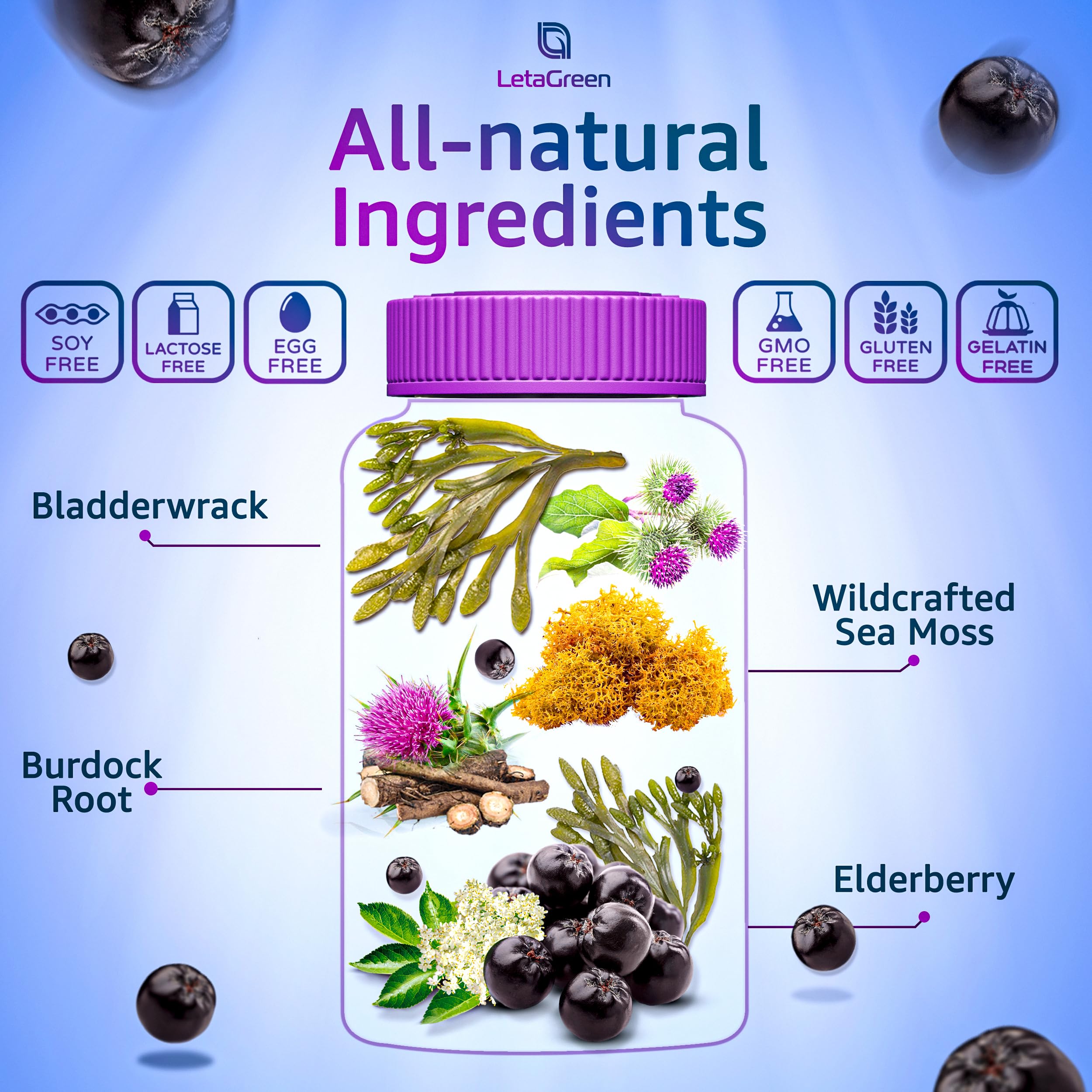 Kids and adults enjoying LetaGreen sea moss gummies
