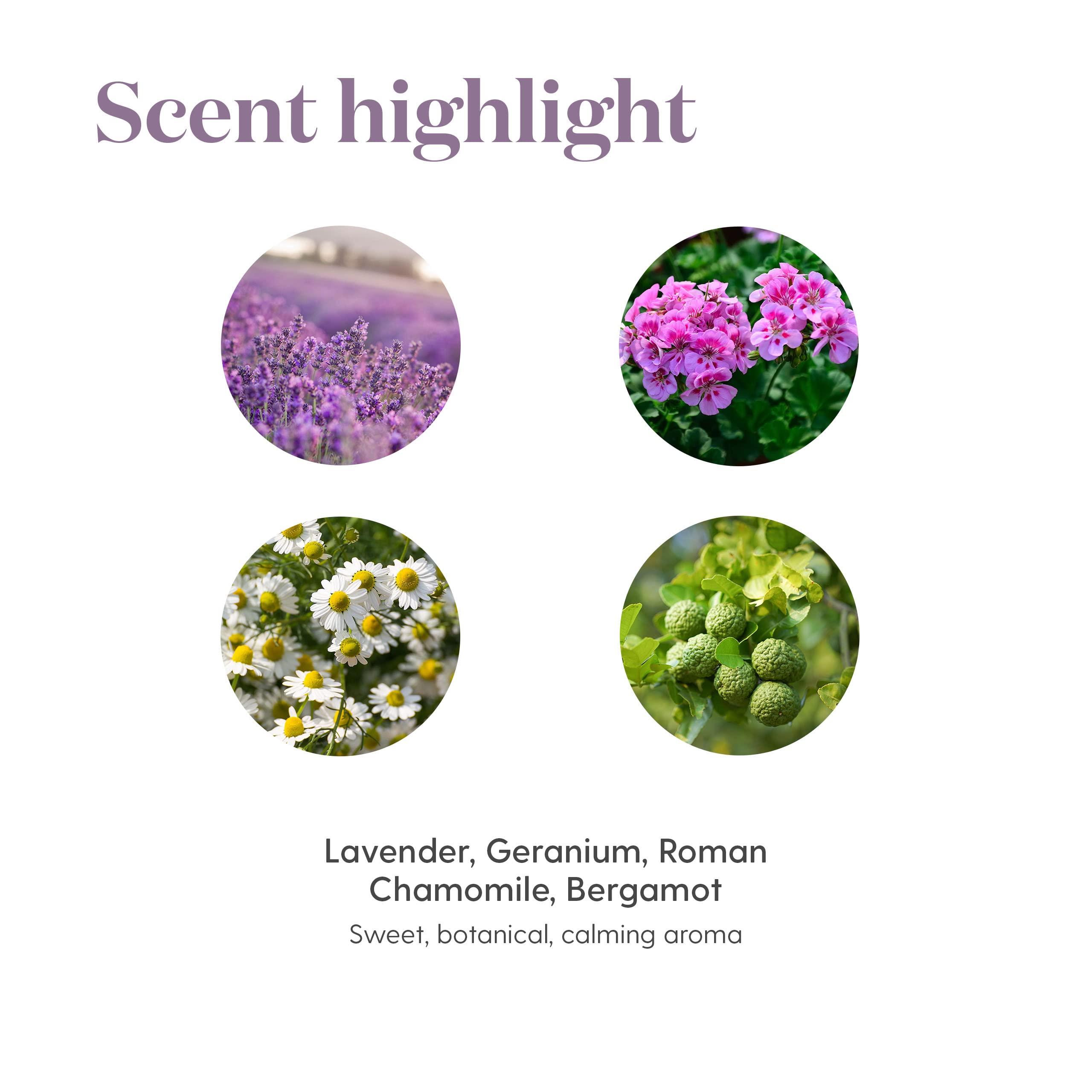 SleepyIze bottle with lavender and chamomile to hint at ingredients