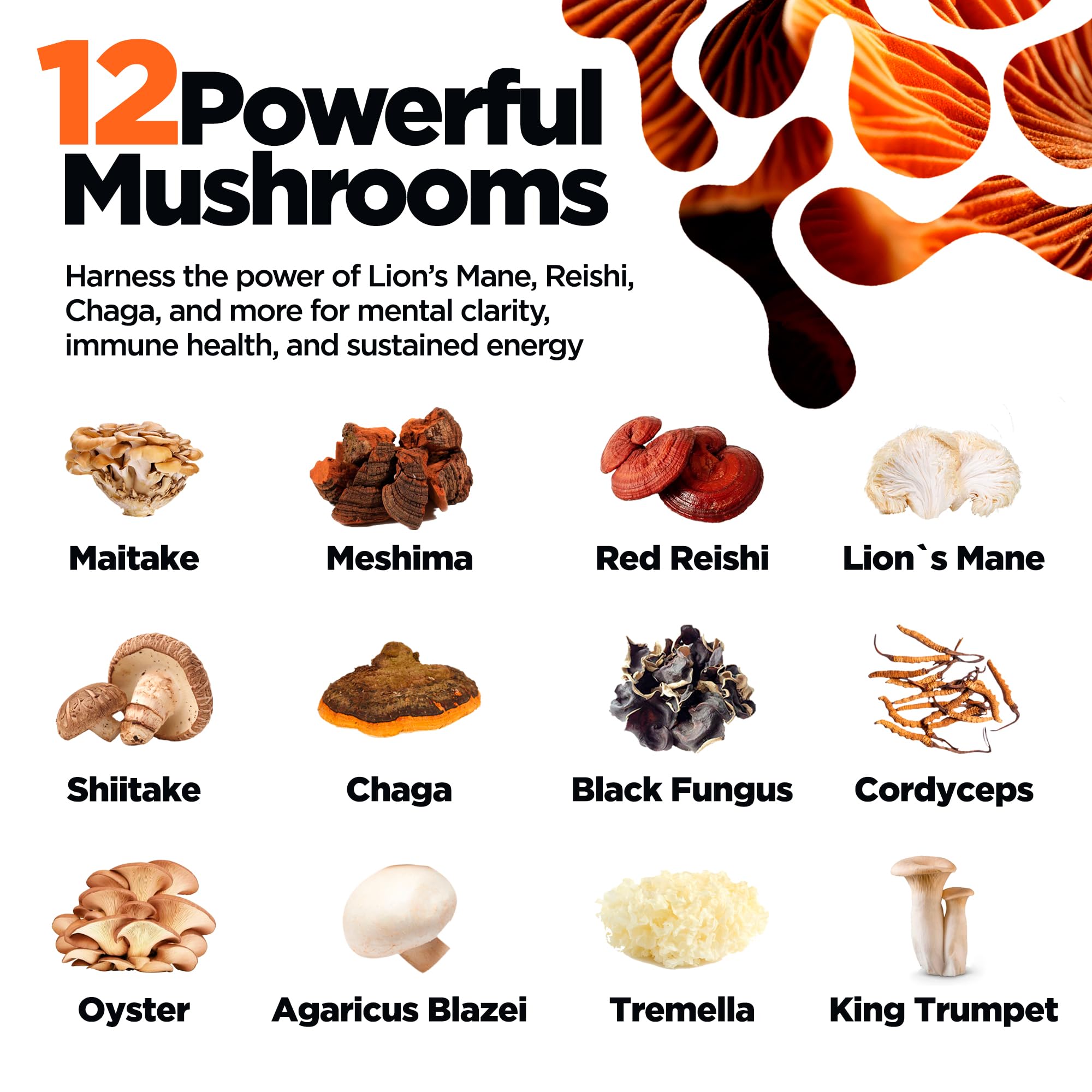 Close-up of the 12-mushroom blend powder