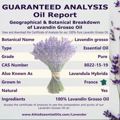 Botanical notes: Lavandin Grosso lavender oil distilled from flowers