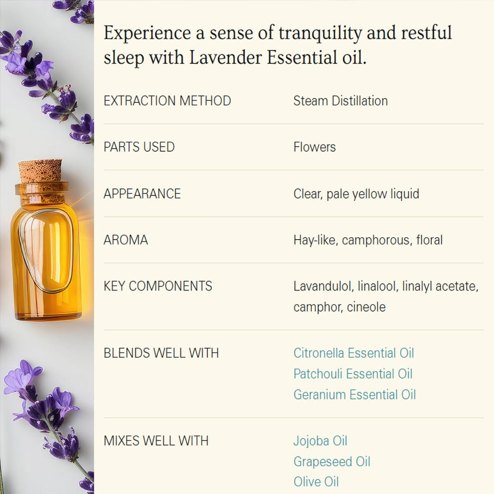 Lavender essential oil applied to skin as part of skincare regimen