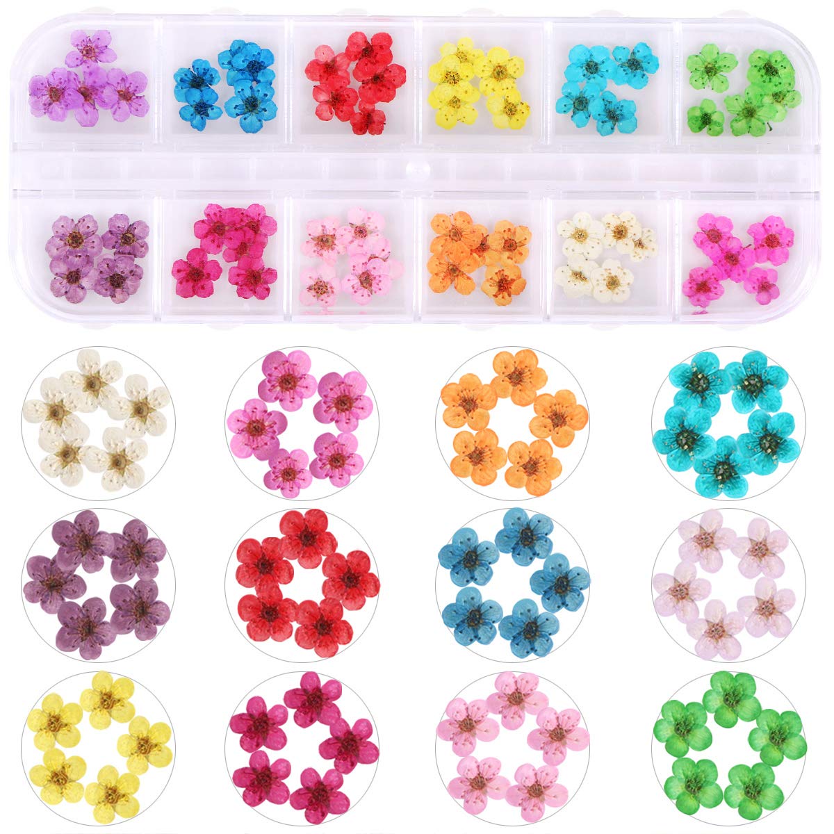 KISSBUTY daffodil petals detail for colorful 3D nail accents.