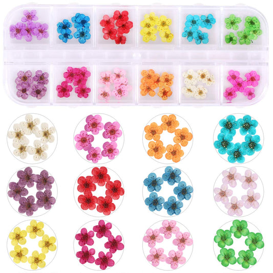 KISSBUTY daffodil petals detail for colorful 3D nail accents.