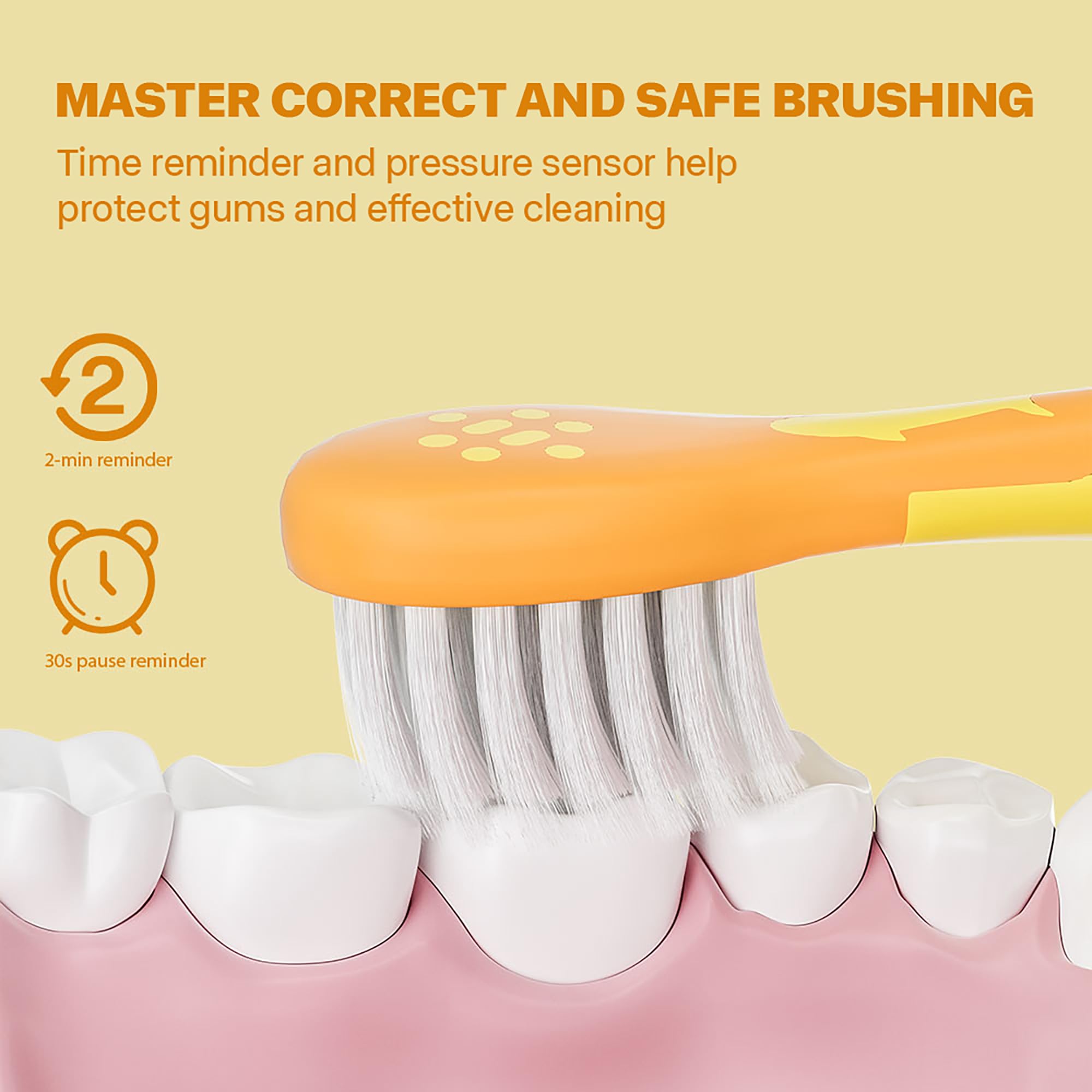 Close-up of 2-minute timer and interval pauses on the toothbrush