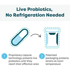 Synbiotic formula supporting gut-immune-respiratory axis