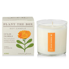 KOBO Catalan Calendula candle with plantable box, 9 oz