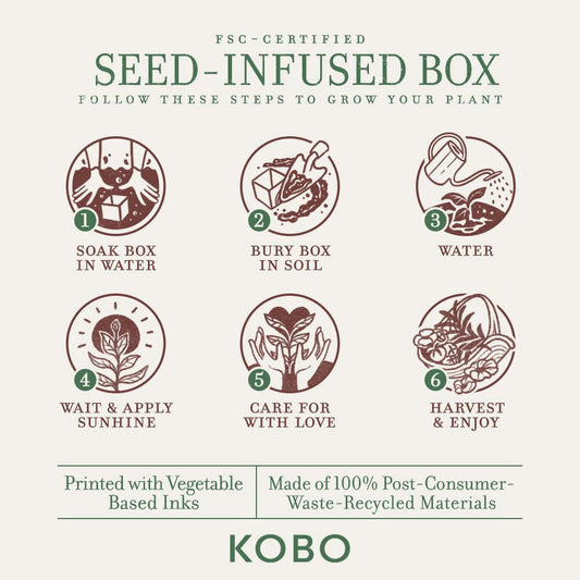 Packaging and plantable box for KOBO Sweet Sunflower Candle