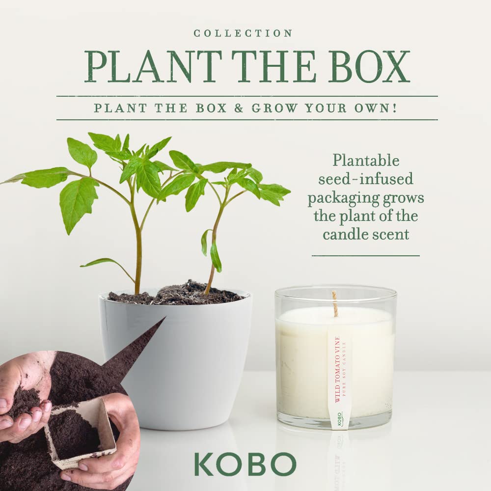 Close-up of candle label noting 60-hour burn time