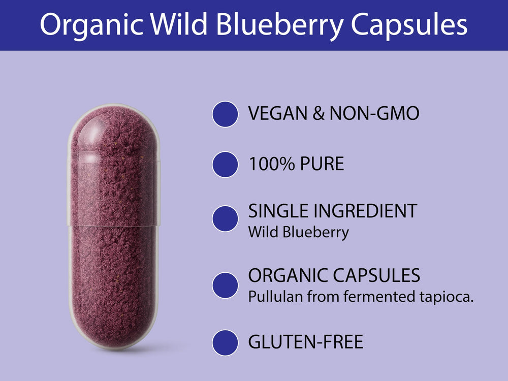 Freeze-dried Organic Wild Blueberry Powder (Lowbush) in bowl