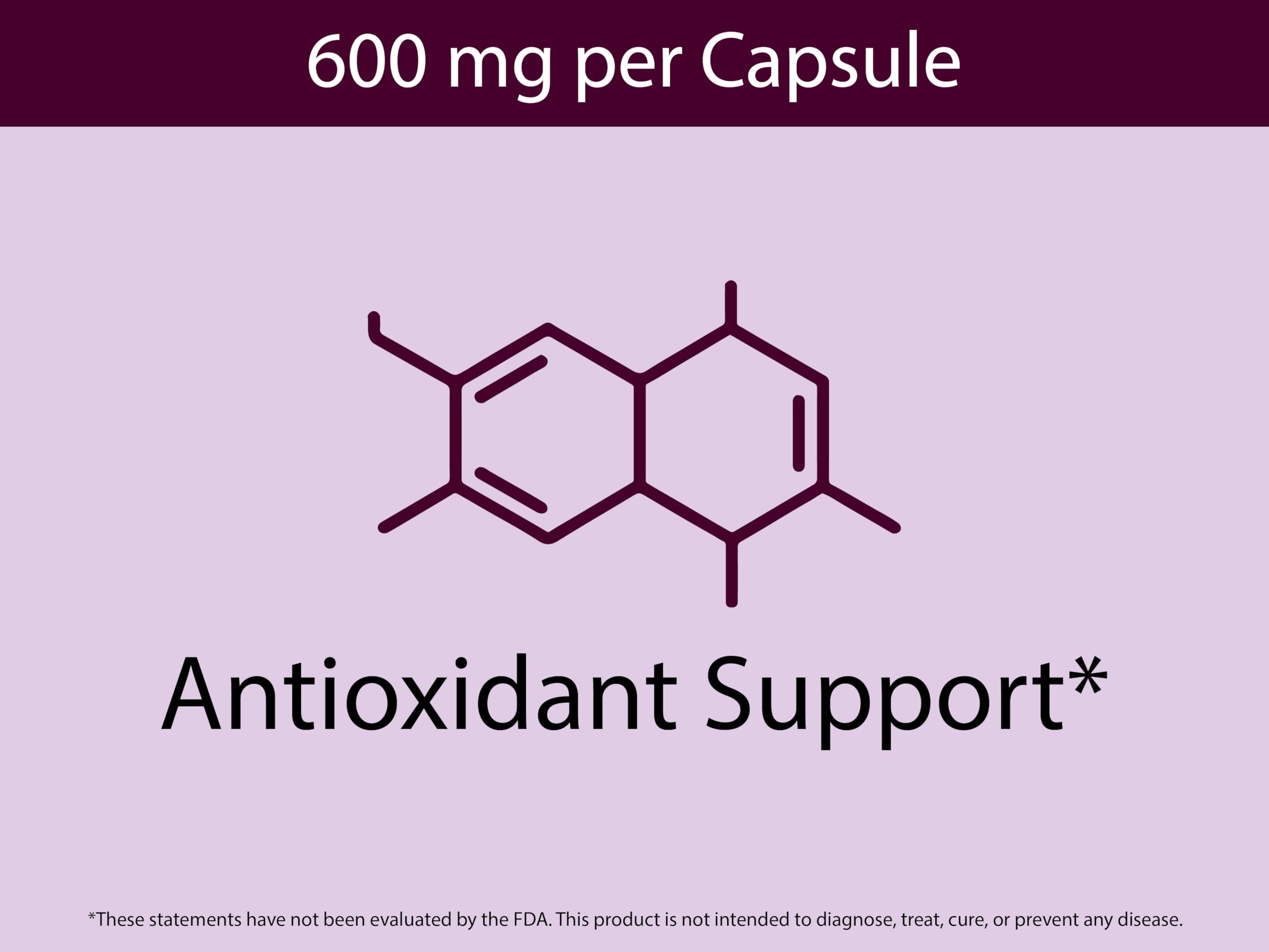 Capsules lined up with aronia berry powder nearby