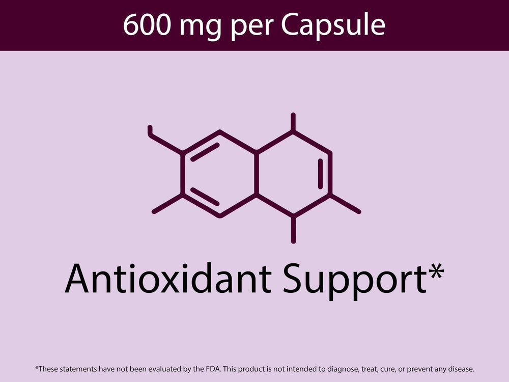 Capsules lined up with aronia berry powder nearby