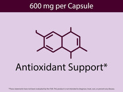 Capsules lined up with aronia berry powder nearby