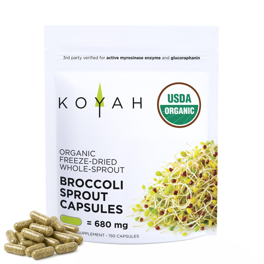 KOYAH Organic broccoli sprout capsules bottle front for daily wellness support.