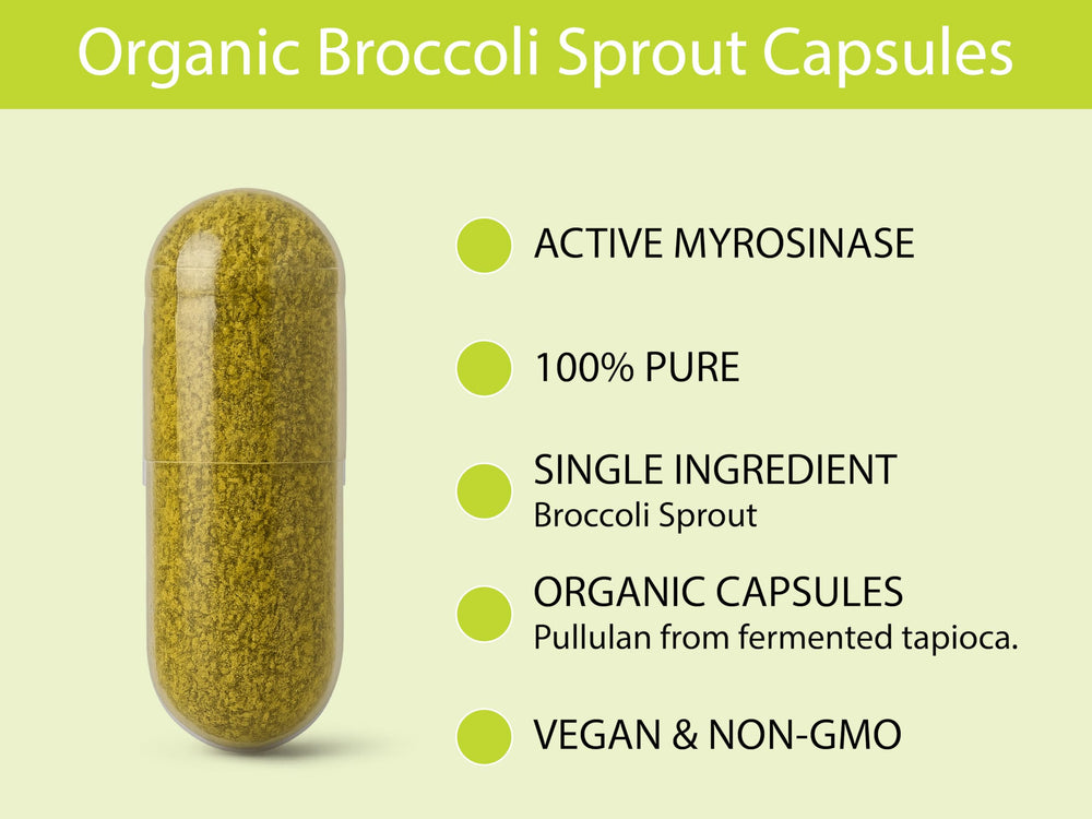 KOYAH freeze-dried broccoli sprouts powder close-up preserves freshness.
