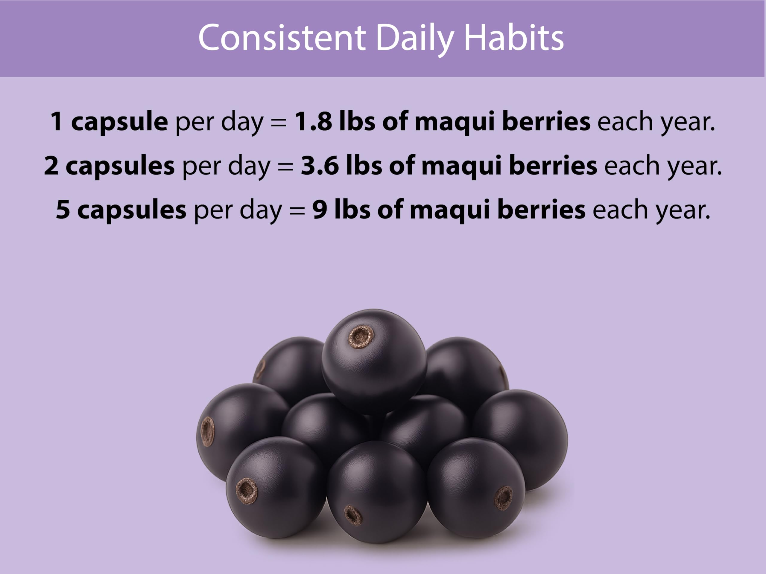 Freeze-dried Maqui berry powder for Koyah capsules