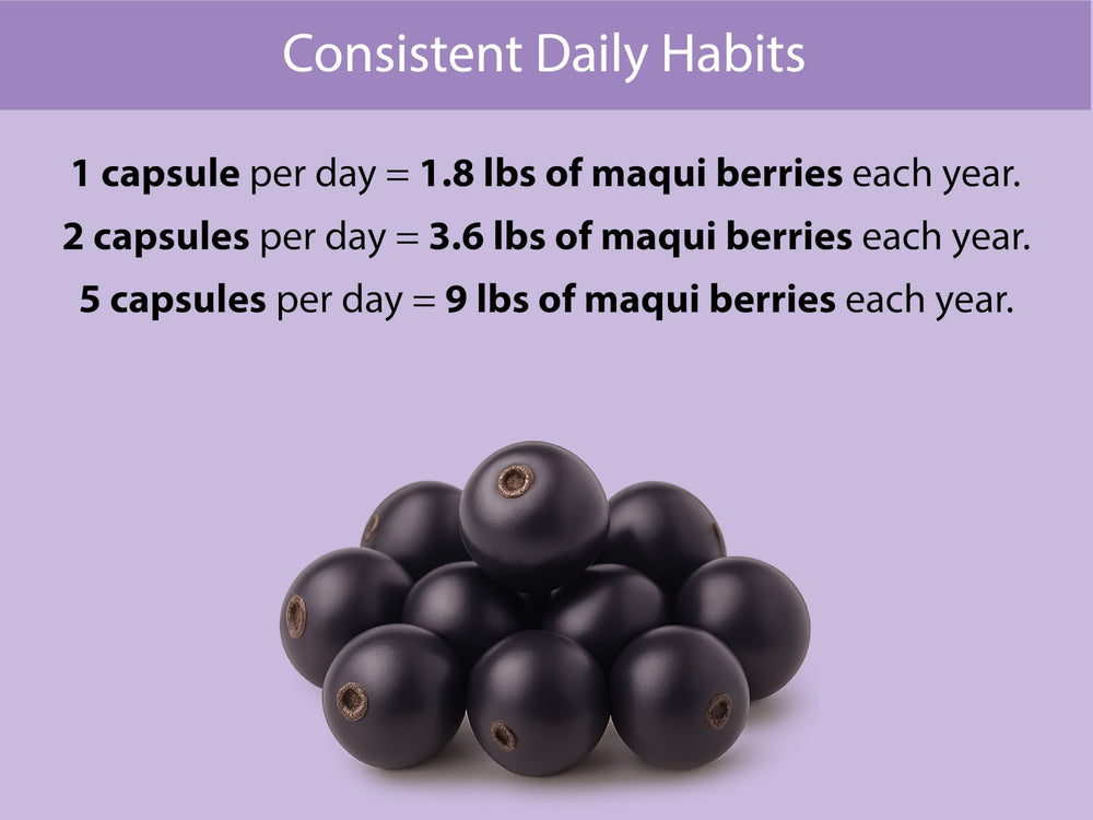 Freeze-dried Maqui berry powder for Koyah capsules