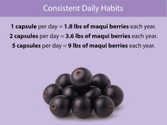Freeze-dried Maqui berry powder for Koyah capsules