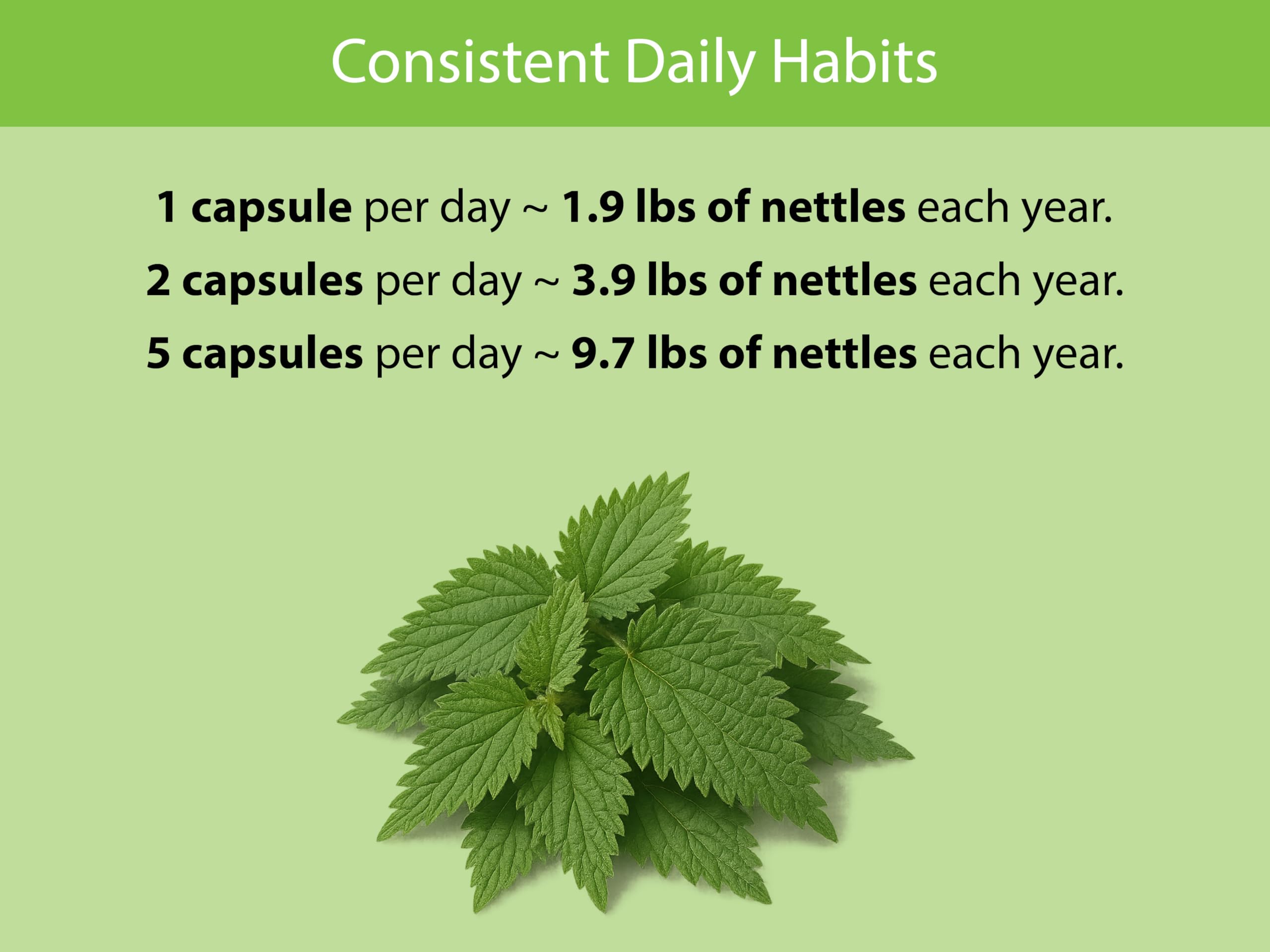 Bottle of KOYAH nettle leaf capsules
