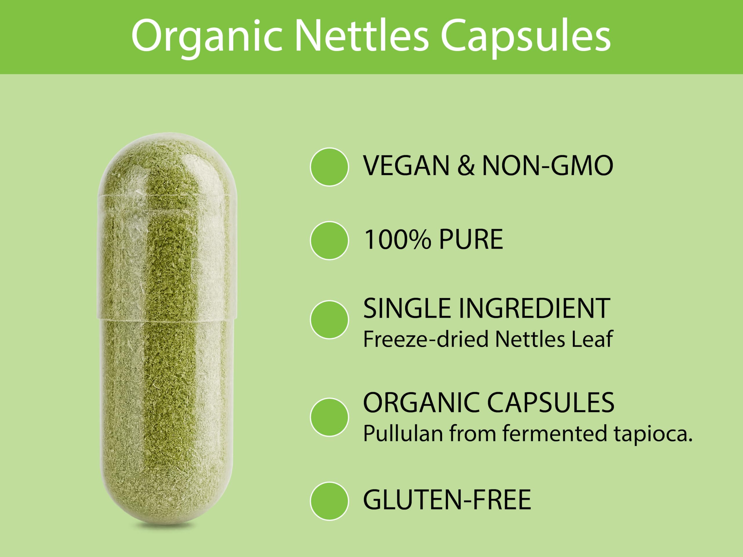 Organic nettle plants grown in Poland