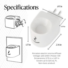 Close-up of porcelain oil dish for diffuser