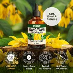 Ylang-Ylang oil blends with lavender and cedarwood