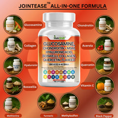 Label highlights Glucosamine, Chondroitin, and MSM