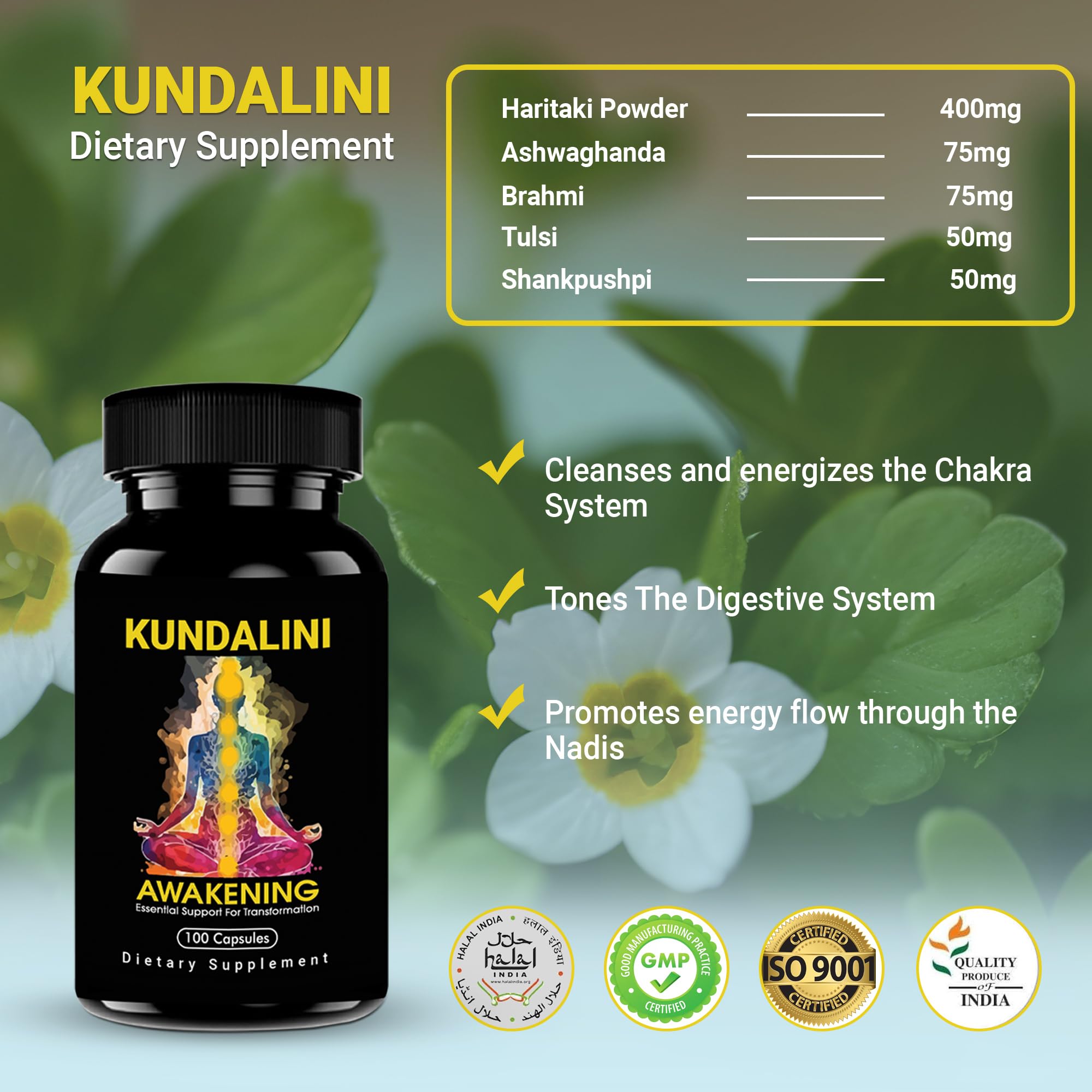Concept image showing Kundalini awakening support and spiritual growth