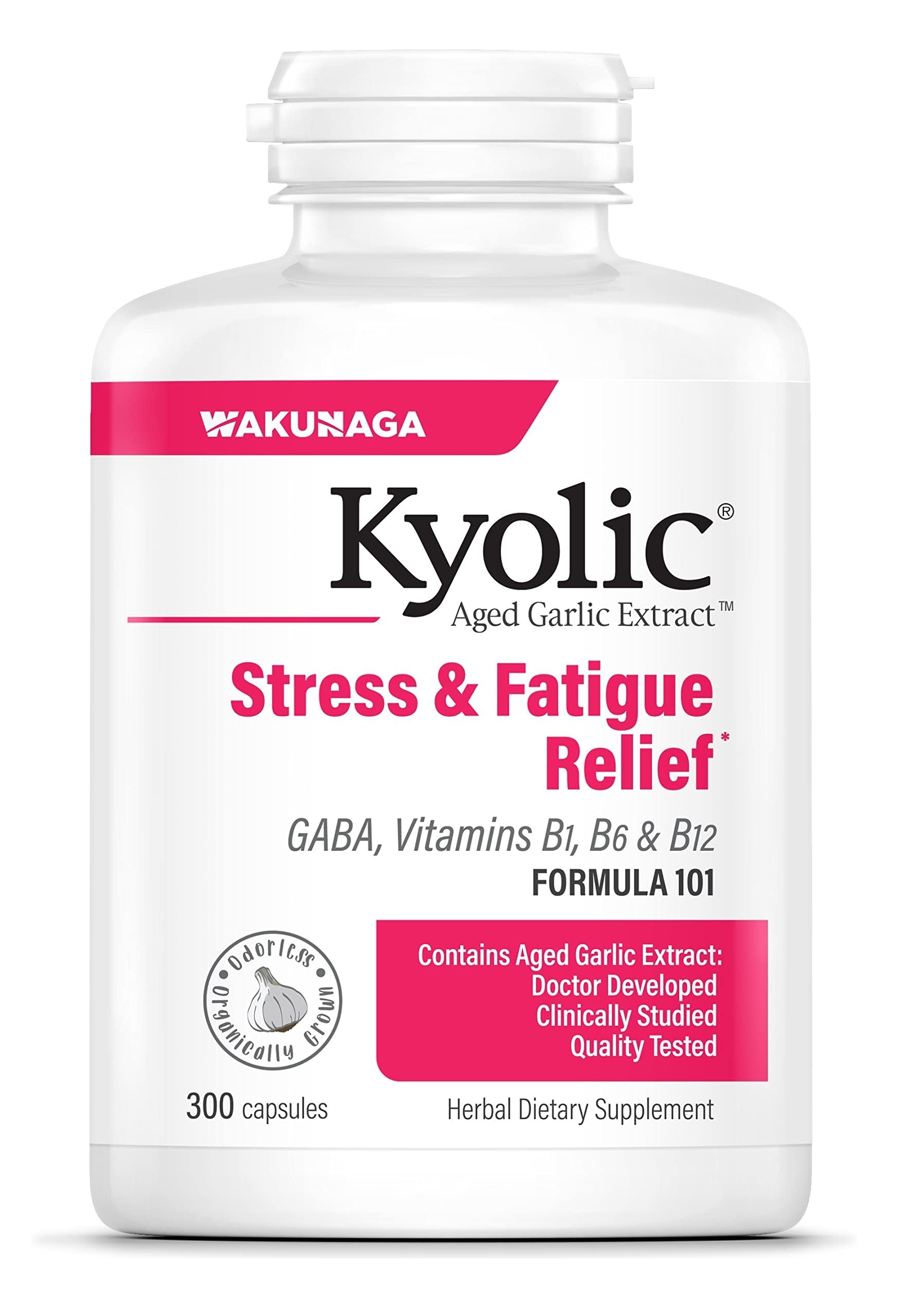Kyolic Aged Garlic Extract Formula 101 bottle - 300 capsules