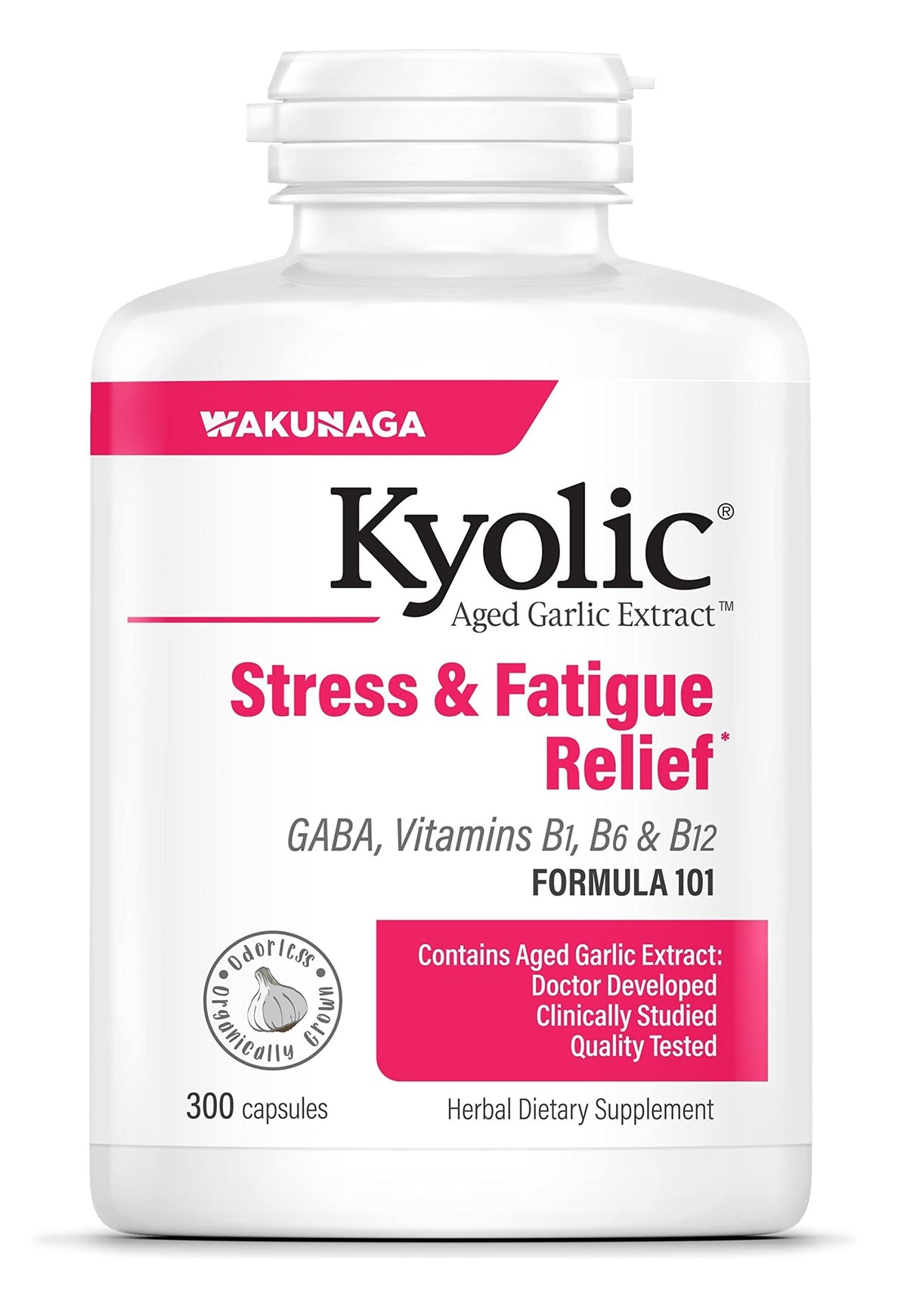 Kyolic Aged Garlic Extract Formula 101 bottle - 300 capsules